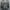 Battle Dress Uniform photo 7