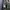 Battle Dress Uniform photo 3