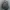 Battle Dress Uniform photo 1