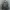Battle Dress Uniform