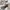 Running Shoes By Adidas Nite Jogger Grey Orange - Authentic photo 7