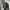 Baron Black Patern Casual Wool Jacket photo 5