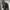 Manstar Black Wool Casual Jacket photo 5