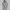 Hoodie Adidas Trefoil Long Tref photo 1