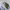 Hoodie Adidas Trefoil Long Tref photo 3