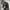 MUS Black Pattern Wool Work Jacket photo 4
