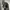 Maestro Black Wool Work Jacket photo 5