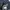 VERT DENSE FONDAMENTAL JAPANESE TRUCKER JEANS JACKET  photo 5