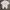 Poloshirt Polo ralph lauren photo 1