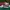 Puma Suede Classic Red White photo 3