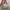 Tas PVC  (Joyi Sling PVC Bag - Kyoki Studio) photo 1