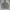 nike  grey zip hoodie photo 1