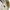 Kujten knitted ss tee light tan kaos knit knitwear rajut photo 5