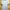 Jersey Home Tottenham Hotspur 2022/2023 photo 2