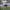 Jersey Home Tottenham Hotspur 2022/2023 photo 3