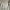 Sweather crewneck Ch4m Big Logo Gray Authentic photo 5