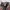 Quiksilver Streetwear Skater Puffer jacket Pria multicolor photo 6