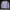 Sweather Crewneck Ch4mpi0n Tiny Logo photo 3
