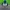 Tracktop ZNC photo 1