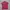 Polo Shirt UNIQLO BNWT photo 3