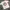 GDC Japan White T-shirt  photo 1