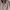 Jaket Vintage YSL Suede Pour Homme Rare  photo 2