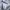 Nike Streetwear Sportswear Sweater Wanita white photo 7