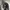 Crossbill Clasic Dark Grey Wool Jacket photo 5