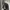 Greenjoy Classic Striped Wool Work Jacket photo 5
