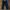 Dickies Double Knee Work Pants Celana photo 1