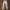 Thom Browne Jogger Sweatpants Celana