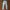 Thom Browne Jogger Sweatpants Celana photo 2