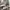 Zara Woman Fishtails Camo Woodland Military Fatigue Heritage photo 6