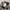 Zara Woman Fishtails Camo Woodland Military Fatigue Heritage photo 5