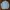Aquascutum Harrington Casual Jacket Outer Jaket