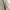 work jacket bean pole (beige) canvas photo 5