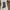 Converse Jack Purcell photo 6