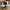Converse Jack Purcell photo 4