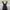 Yohji Yamamoto Dress photo 8