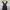 Yohji Yamamoto Dress photo 2