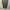 Japanese Spechio Pleats Midi Dress Issey Miyake Style photo 4