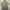 Japanese Spechio Pleats Midi Dress Issey Miyake Style photo 8