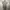 Japanese Spechio Pleats Midi Dress Issey Miyake Style photo 5