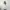 Bossini White Jacket photo 8
