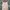 Nicole Club Matsuda Midi Dress photo 2