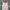 Nicole Club Matsuda Midi Dress