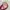 Vivienne Westwood Y2K Crossbody Bag Wanita pink photo 3