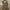 vintage khaki halter bodycon dress photo 1