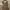 Vintage Khaki Halter Bodycon Dress