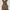 vintage khaki halter bodycon dress photo 4